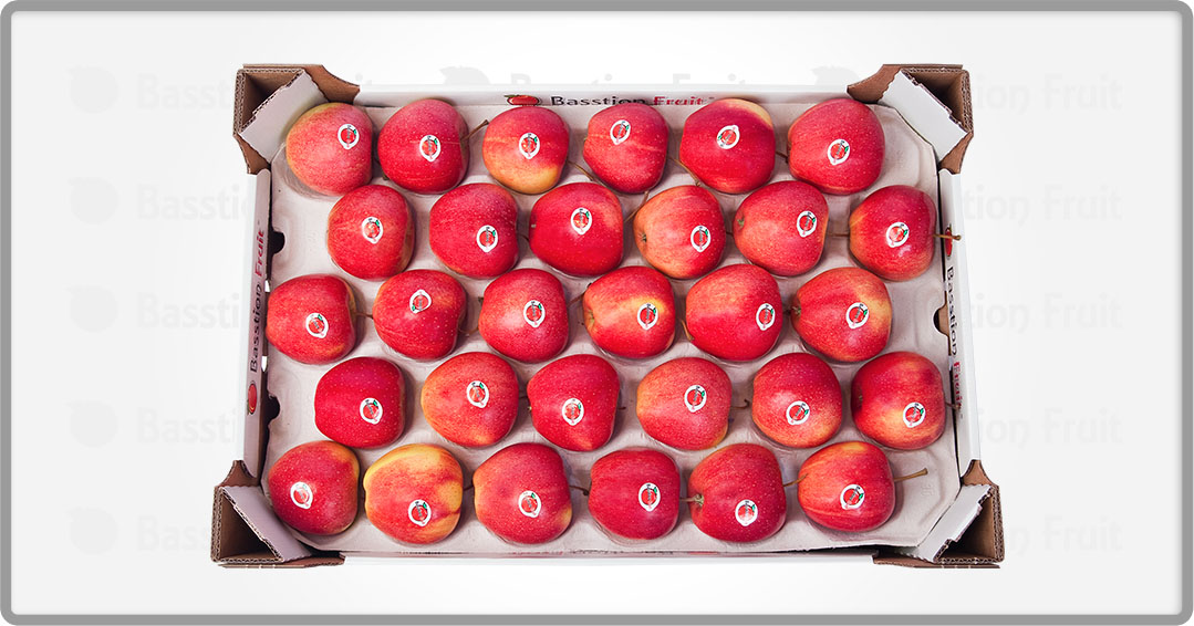sellaviva Fourchettes à Pommes en Plastique Multicolore 