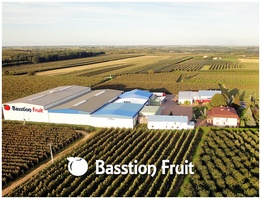 Basstion Fruit Ar شركتنا متخصصة في توريد التفاح والإجاص عالية الجودة للعملاء المحليين والأجانب
