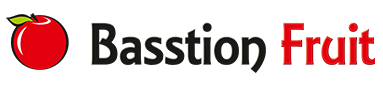 Basstion Fruit IT logo