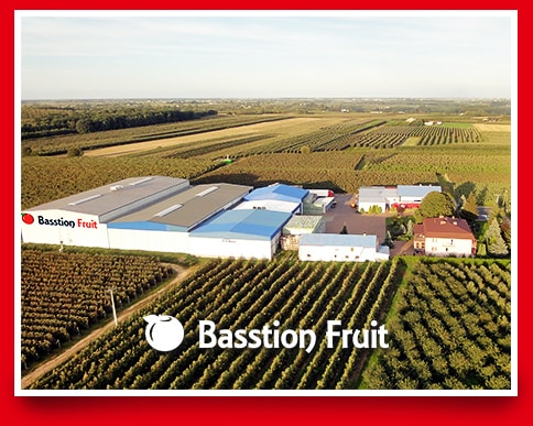 Basstion Fruit